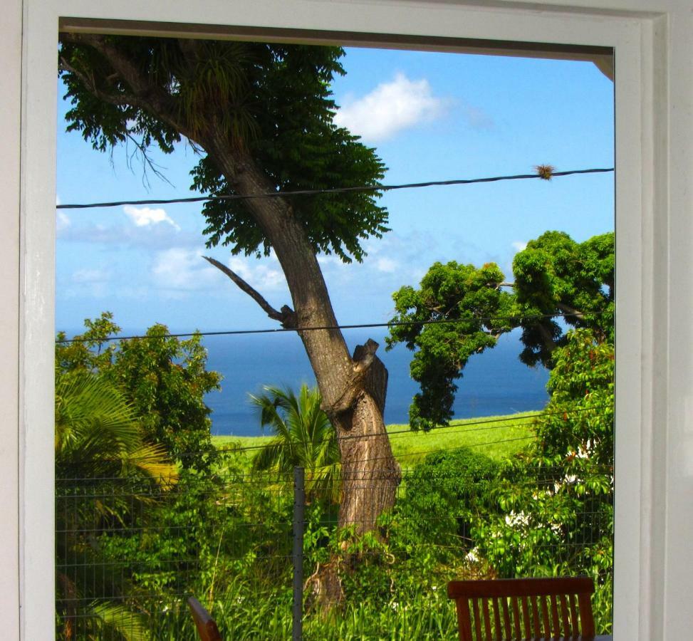 Or Bleu-Bungalow Volcan Soufriere-Vue Sur Mer Сен-Клод Экстерьер фото